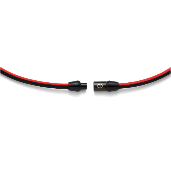 レッド×ブラック