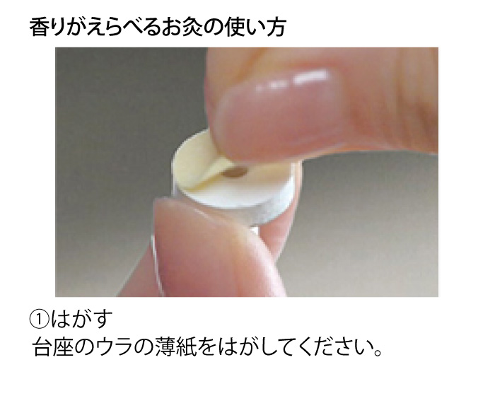 Fruits ( くだもののかほり )