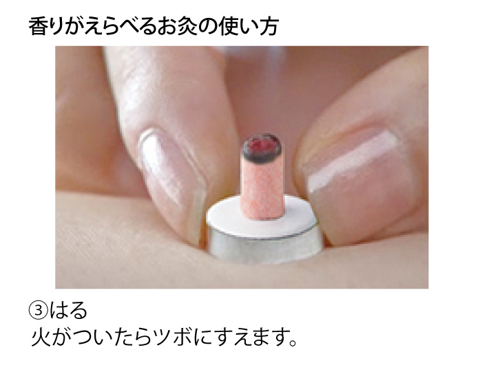 Fruits ( くだもののかほり )