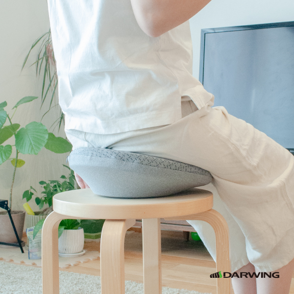 ダイヤ工業 DARWING すわルンバHOME