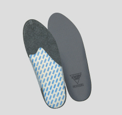 DSIS ソルボサッカー