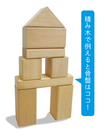 骨盤を安定させると何がいいの？