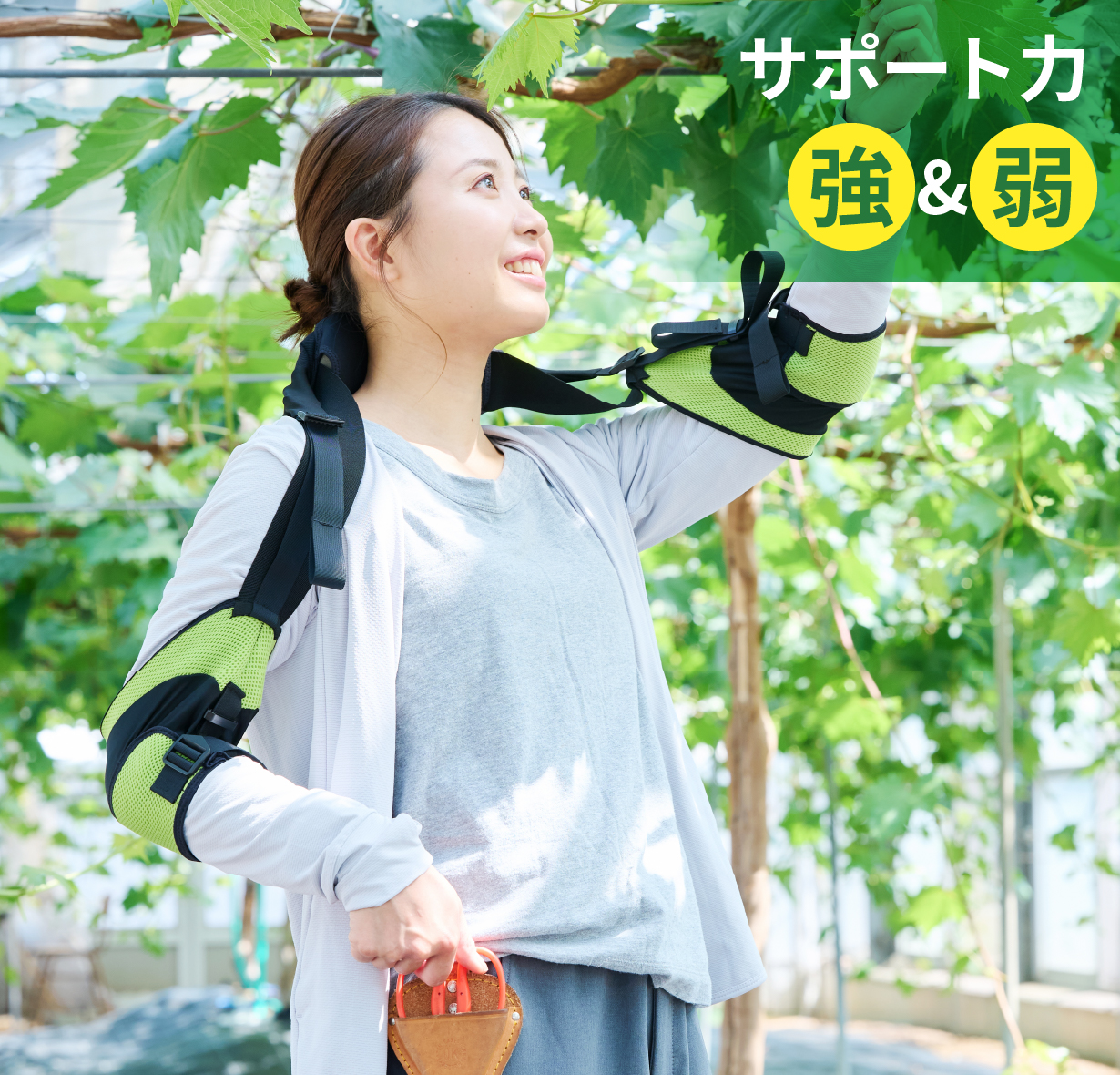 複合的なサポートも可能