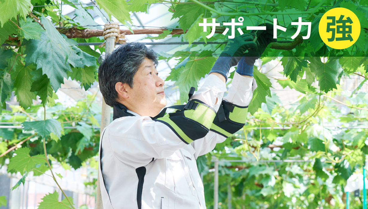 サポート力：強