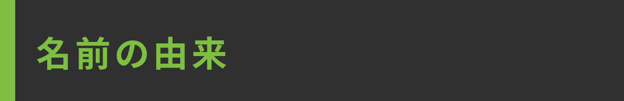 名前の由来
